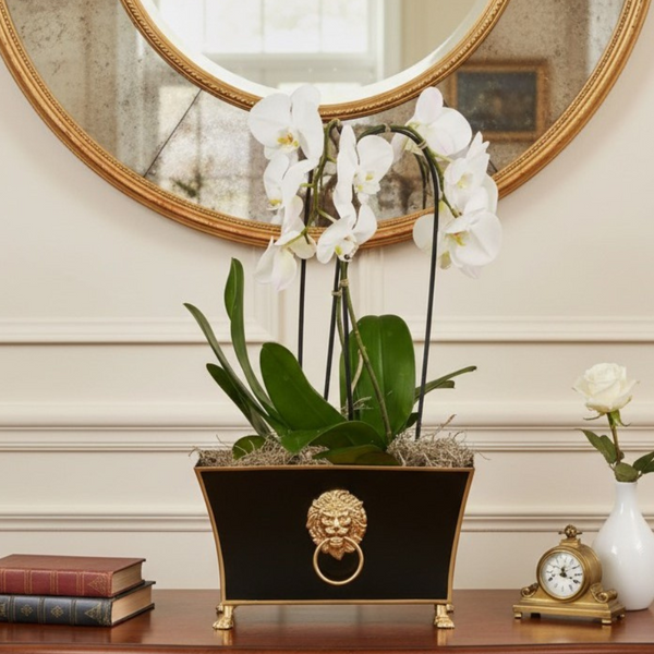 Regency Fluted Rectangle Paws & Claws Cachepot - Black