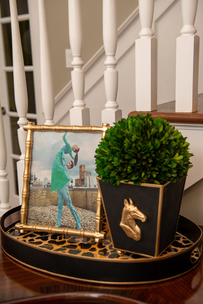 Regency Horse Head Square Cachepot Planter Black