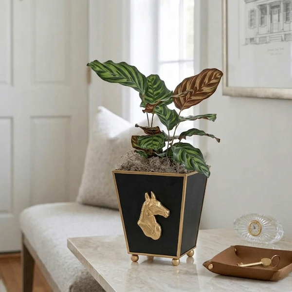 Regency Horse Head Square Cachepot Planter Black