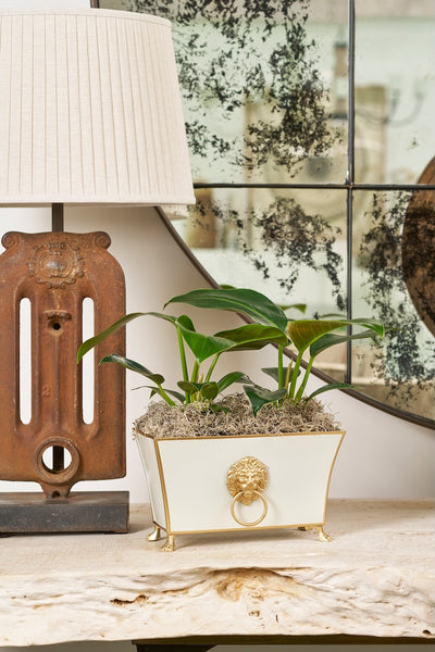 Regency Fluted Rectangle Paws & Claws Cachepot - Taupe