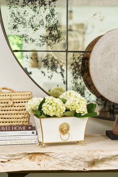 Regency Fluted Rectangle Paws & Claws Cachepot - White