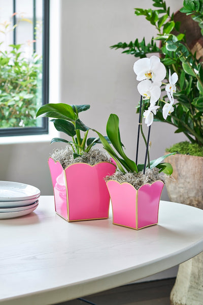 Gracie Scarlett Square Cachepot Planter Pink