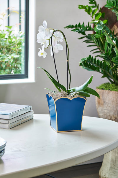 Gracie Scarlett Square Cachepot Planter Blue