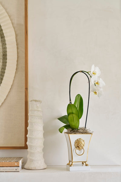 Paws & Claws Fluted Square Cachepot Planter White