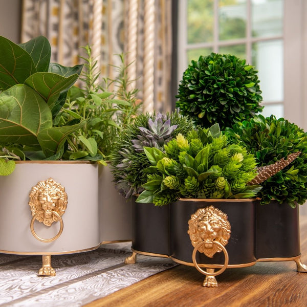 Paws & Claws Quatrefoil Cachepot Planter