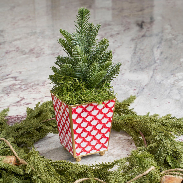 Scales Enameled Square Cachepot Planter - Red