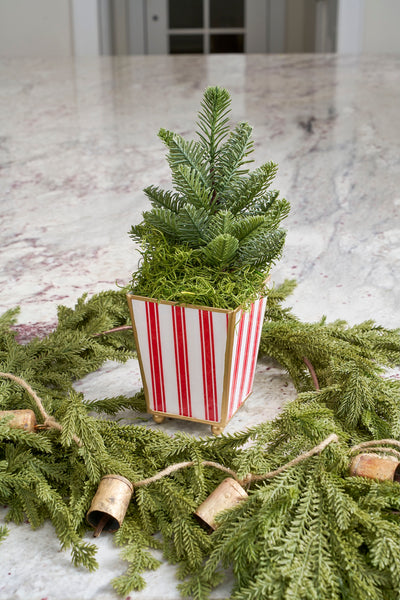 Ticking Stripe Enameled Square Cachepot Planter