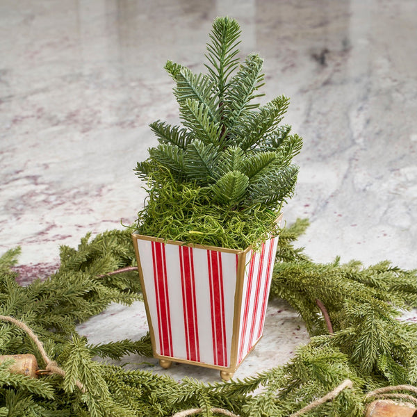 Ticking Stripe Enameled Square Cachepot Planter