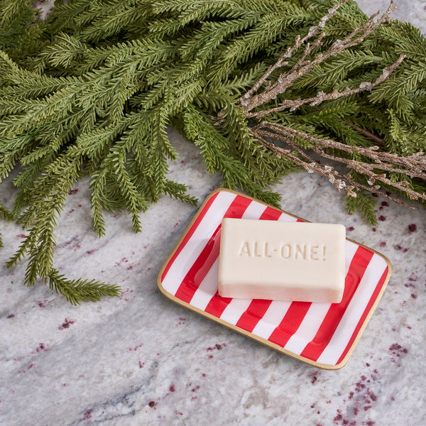 Classic Stripe Enameled Laney Tray