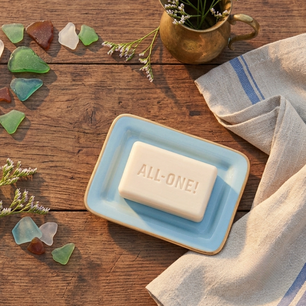 Gracie Enameled Laney Soap Dish - Cool Blue
