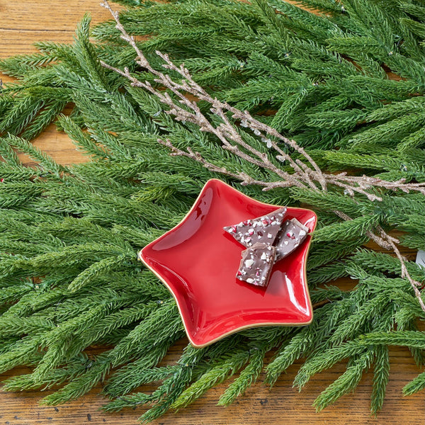 Gracie Star Tray - Red