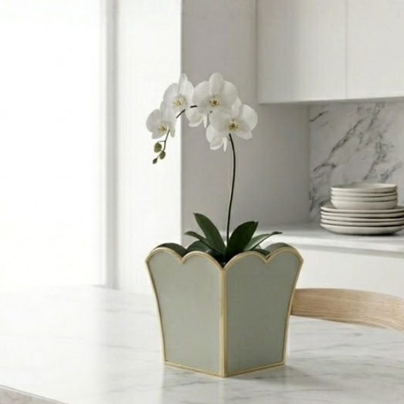 Gracie Scarlett Square Cachepot Planter Sage Green - 8 inch