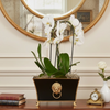 Regency Fluted Rectangle Paws & Claws Cachepot - Black