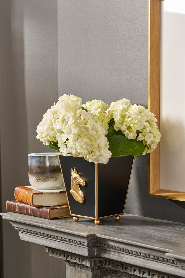 Regency Horse Head Square Cachepot Planter Black
