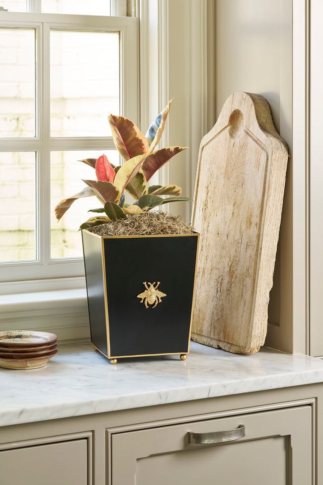 Regency Bee Square Cachepot Planter Black