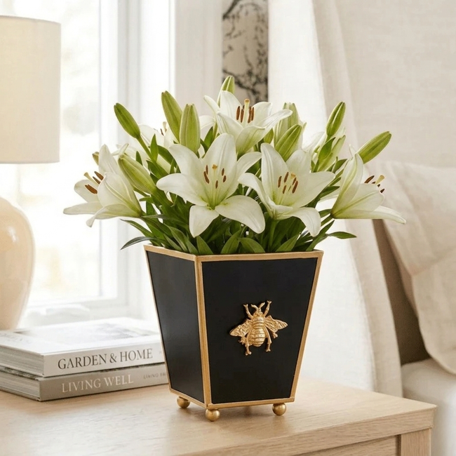Regency Bee Square Cachepot Planter Black