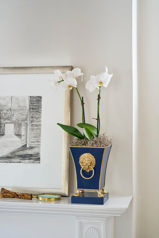 Regency Paws & Claws Fluted Square Cachepot Planter 6