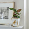 Regency Horse Head Square Cachepot Planter - White