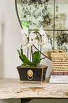 Regency Fluted Rectangle Paws & Claws Cachepot - Black