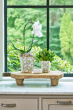 Elsie's Garden Enameled Square Cachepot Planter - Blue & Pink