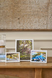 Gracie Pearl Photo Frame - White
