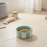 Block Stripe Enameled Pet Bowl - White & Turquoise