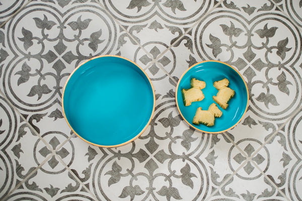 Block Stripe Enameled Pet Bowl - White & Turquoise