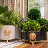 Paws & Claws Quatrefoil Cachepot Planter