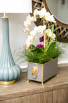 Paws & Claws Rectangular Cachepot Planter Taupe