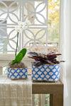 Scales Enameled Quatrefoil Cachepot Planter
