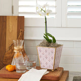 Monticello Enameled Square Cachepot Planter