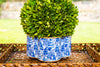 Garden Party Blue & White Enameled Quatrefoil Cachepot