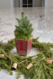 Tartan Plaid Enameled Square Cachepot Planter