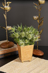 Rattan Enameled Square Cachepot Planter
