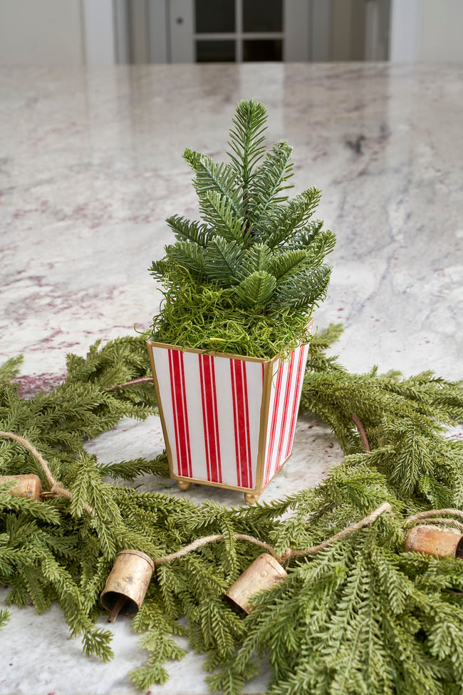 Ticking Stripe Enameled Square Cachepot Planter