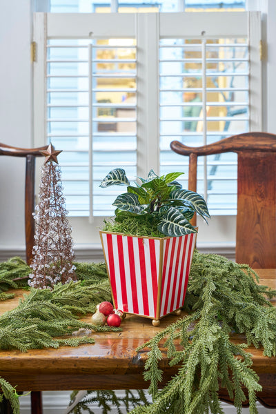 Classic Stripe Enameled Square Cachepot Planter
