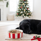 Classic Stripe Pet Bowl