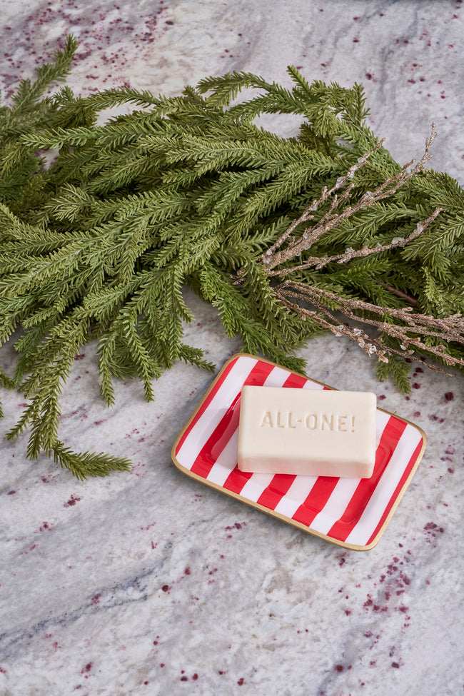 Classic Stripe Enameled Laney Tray