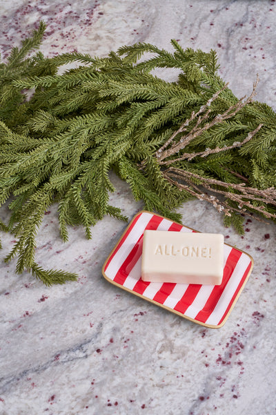 Classic Stripe Enameled Laney Tray