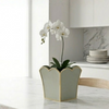 Gracie Scarlett Square Cachepot Planter Sage Green - 8 inch