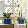 Mattie Quatrefoil Cachepot Planter - Indigo Blue