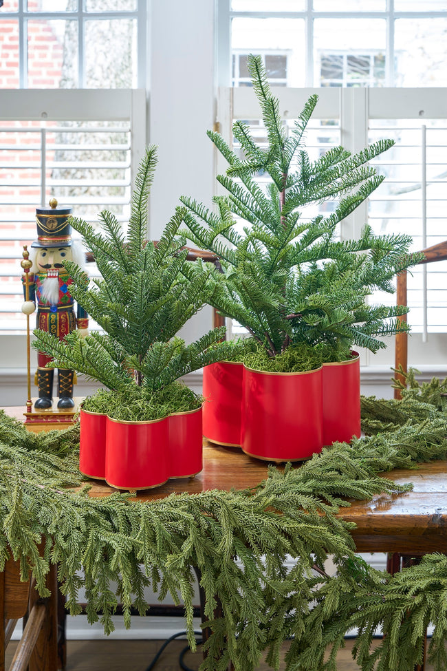 Mattie Quatrefoil Cachepot Planter Red