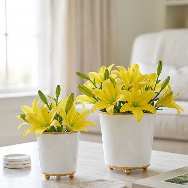 Mattie Round Cachepot Planter White