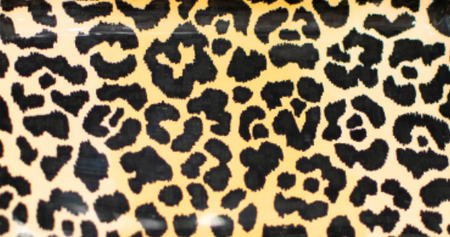 Leopard Spots Enameled Oliver Tray 8x12