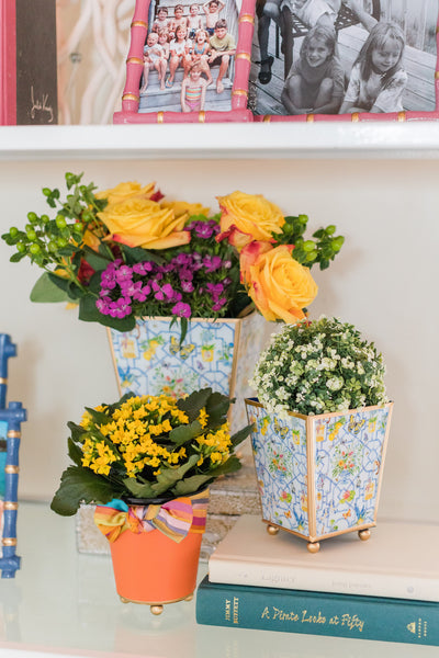 Wonderland Enameled Square Cachepot Planter